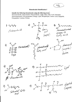 Biomolecules Identification Key