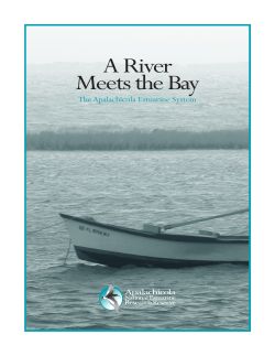 A River Meets the Bay - National Estuarine Research Reserve