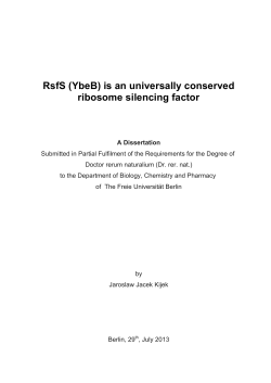 RsfS (YbeB) is an universally conserved ribosome silencing factor