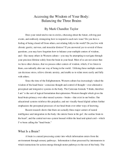 Balancing the Three Brains
