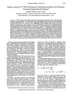 Kinetic Analysis of T7 RNA Polymerase