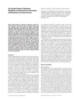 PDF - Oxford Academic - Oxford University Press