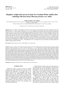 Slaughter weight and carcass of male New Zealand White rabbits