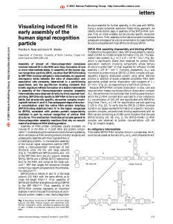 letters Visualizing induced fit in early assembly of the human signal