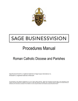 Business Vision Manual