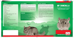 Everything for your Chinchilla