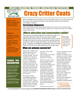 Crazy Critter Coats