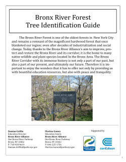 Bronx River Forest Tree Identification Guide