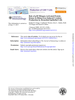 Production by Bronchial Epithelial Cells Kinase in Rhinovirus