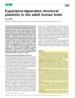Experience-dependent structural plasticity in the adult human brain