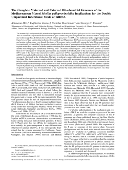 The Complete Maternal and Paternal Mitochondrial Genomes of the