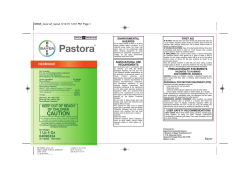 Pastora - Backed By Bayer
