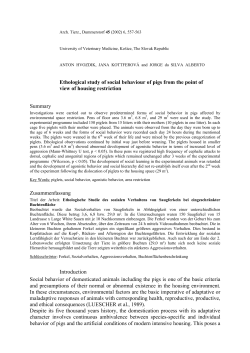 Ethological study of social behaviour of pigs from the point of view of