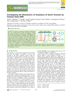 Investigating the Mechanisms of Amylolysis of Starch