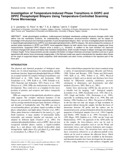 Investigation of Temperature-Induced Phase Transitions in DOPC