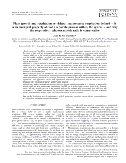 Plant growth and respiration re-visited