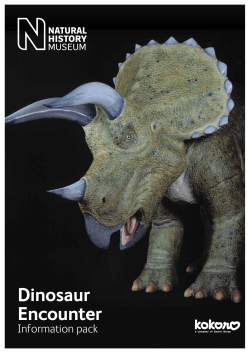 Dinosaur Encounter - Natural History Museum