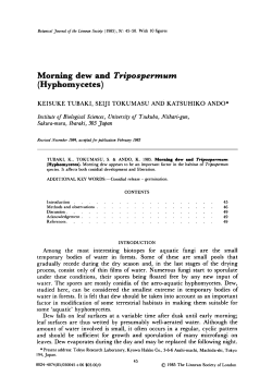 Morning dew and Tripospermum (Hyphomycetes)
