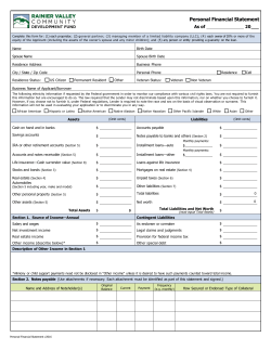 Personal Financial Statement .