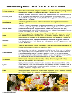 Basic Gardening Terms: TYPES OF PLANTS / PLANT FORMS