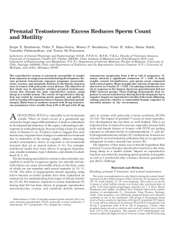Prenatal Testosterone Excess Reduces Sperm Count and Motility