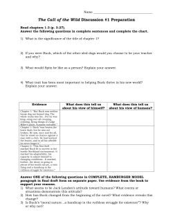 Call of the Wild discussion preparation
