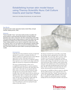 Establishing human skin model tissue using Thermo Scientific Nunc