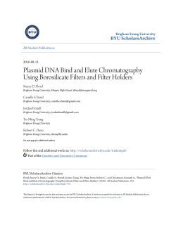 Plasmid DNA Bind and Elute Chromatography Using Borosilicate