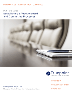 Establishing Effective Board and Committee Processes