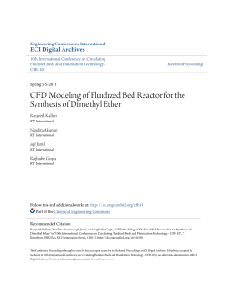 CFD Modeling of Fluidized Bed Reactor for the Synthesis of