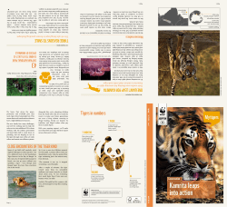 Kamrita leaps into action