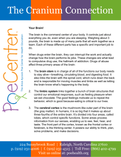 The Cranium Connection - Poe Center for Health Education