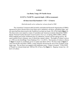Lobster Lau Basin, Tonga, SW Pacific Ocean 15.333&deg;S, 176.283&deg;W
