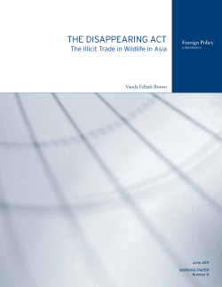 Full Paper - Brookings Institution