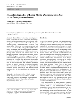 Molecular diagnostics of Lemon Myrtle (Backhousia citriodora