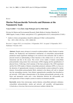 Marine Polysaccharide Networks and Diatoms at the Nanometric