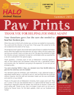 Paw Prints Fall 2015