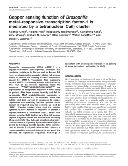Copper sensing function of Drosophila metal
