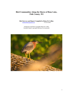 docs/Wildlife_Natural/Bird Communities Along the Shores of Bone