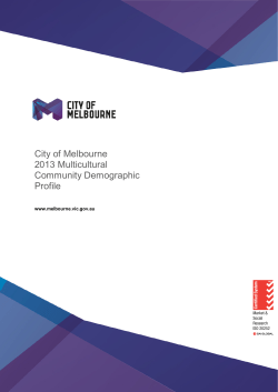 Multicultural Demographic Profile 2013