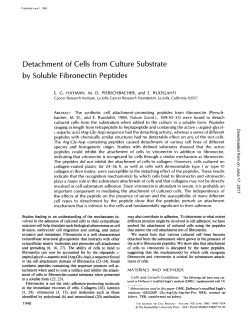 Detachment of Cells from Culture Substrate by Soluble Fibronectin