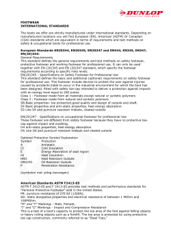 FOOTWEAR INTERNATIONAL STANDARDS The boots we offer are