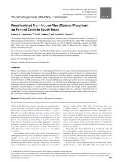 Fungi Isolated From House Flies (Diptera