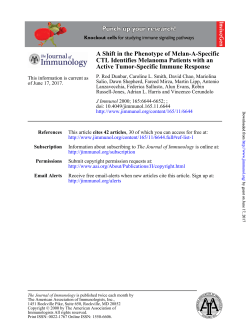 Active Tumor-Specific Immune Response CTL Identifies Melanoma