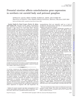 Prenatal nicotine affects catecholamine gene expression in newborn