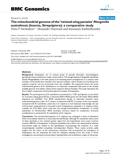 The mitochondrial genome of the `twisted