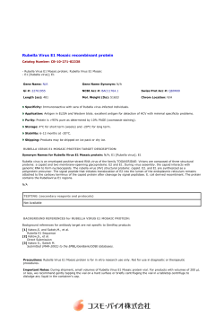 Rubella Virus E1 Mosaic recombinant protein