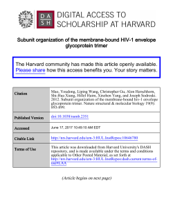 Subunit organization of the membrane-bound HIV