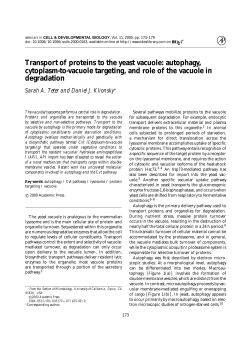 Autophagy and cytoplasm-to-vacuole targeting