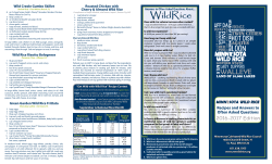 here. - Minnesota Cultivated Wild Rice Council